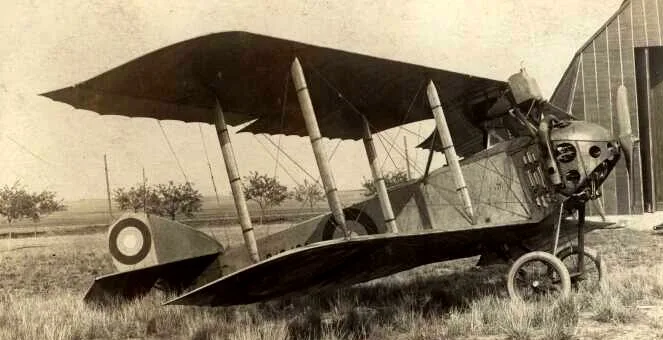 Anatra DS