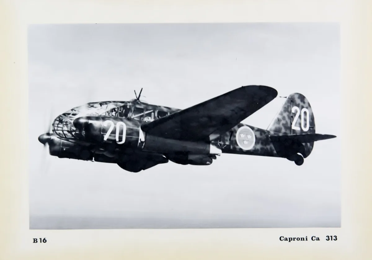 Caproni Ca.313