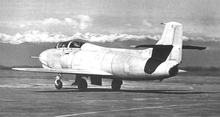 Fiat Aviazione G.80