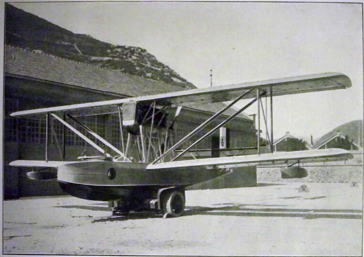 Piaggio P.6