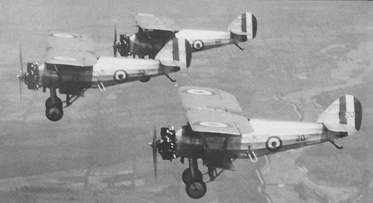 Armstrong Whitworth Aircraft Siskin